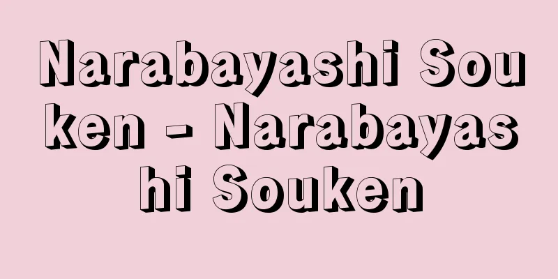 Narabayashi Souken - Narabayashi Souken