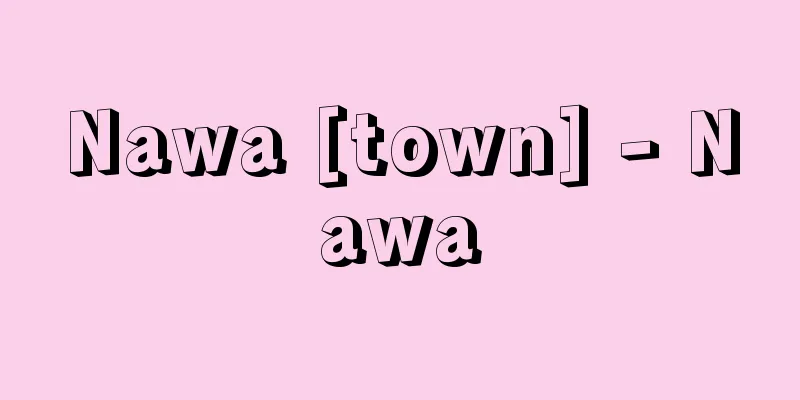 Nawa [town] - Nawa