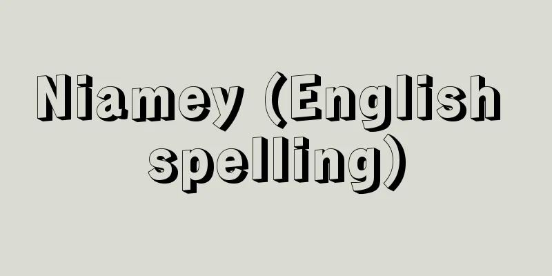 Niamey (English spelling)