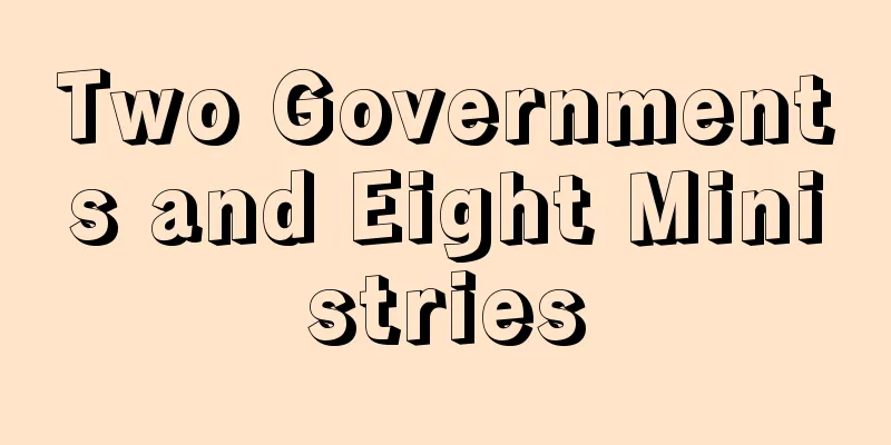 Two Governments and Eight Ministries