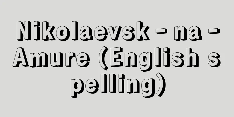 Nikolaevsk‐na‐Amure (English spelling)