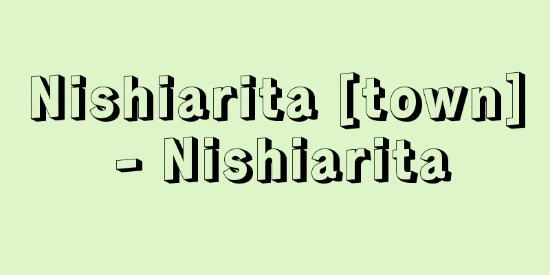 Nishiarita [town] - Nishiarita