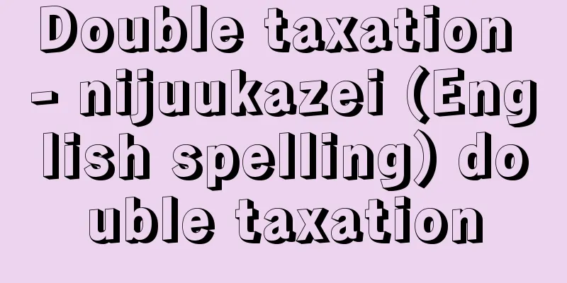 Double taxation - nijuukazei (English spelling) double taxation