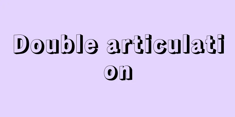 Double articulation