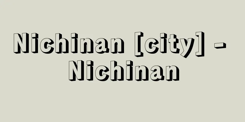 Nichinan [city] - Nichinan