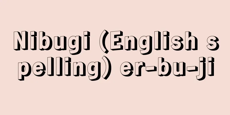 Nibugi (English spelling) er-bu-ji