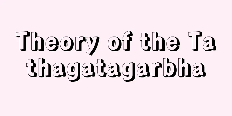 Theory of the Tathagatagarbha
