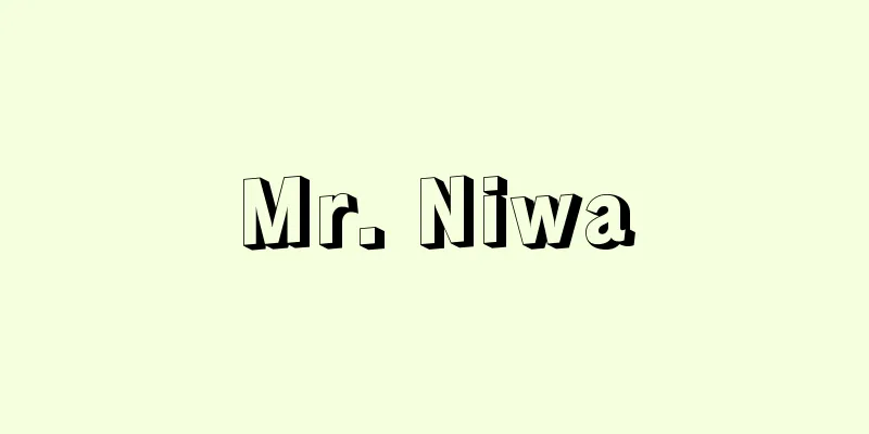 Mr. Niwa