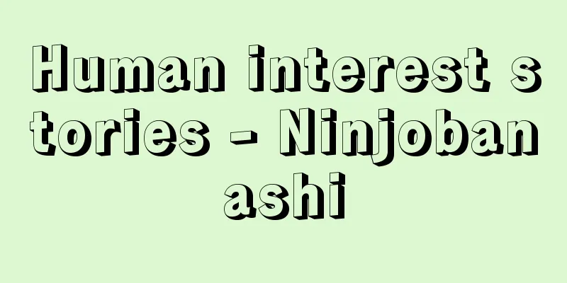 Human interest stories - Ninjobanashi