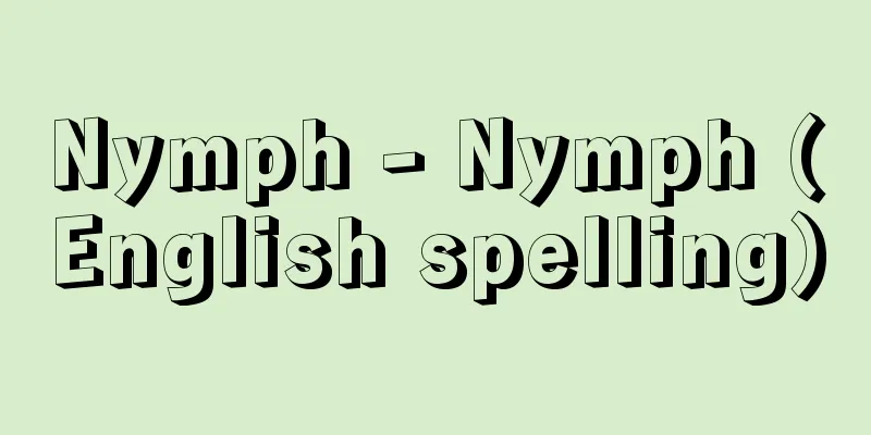 Nymph - Nymph (English spelling)