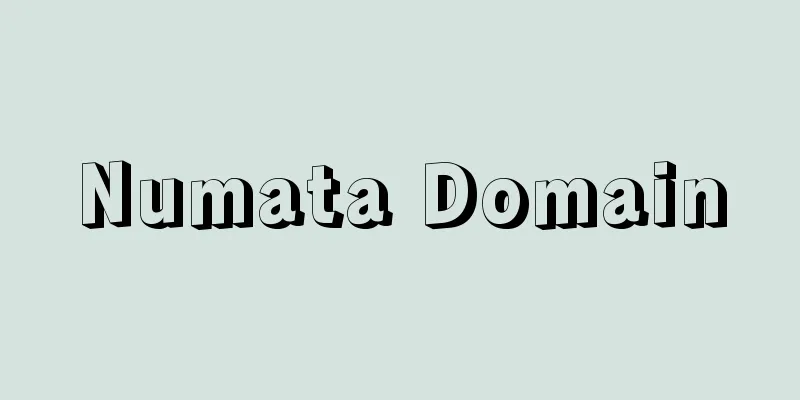 Numata Domain