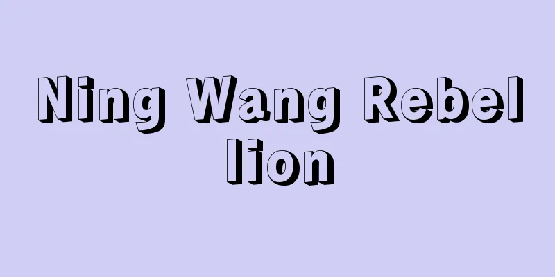 Ning Wang Rebellion