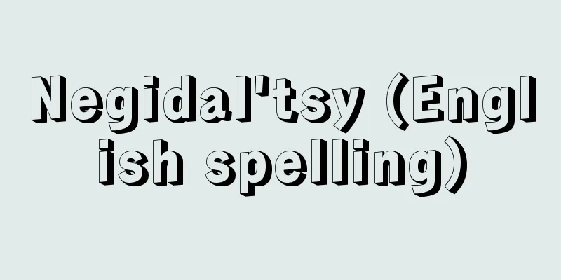 Negidal'tsy (English spelling)