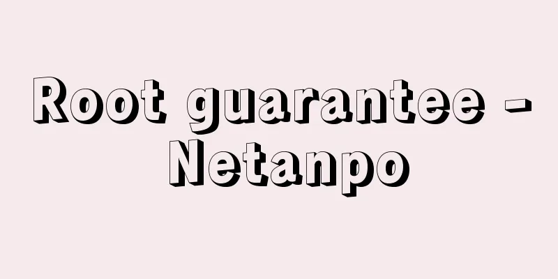 Root guarantee - Netanpo
