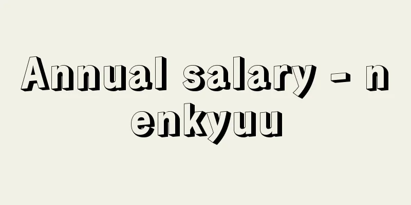 Annual salary - nenkyuu