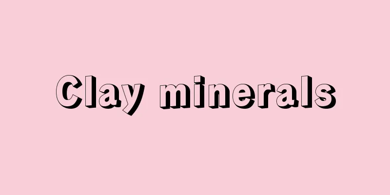 Clay minerals