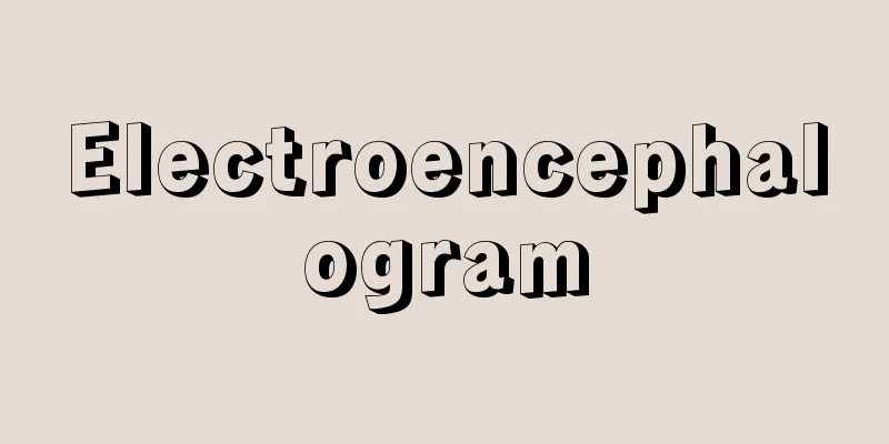 Electroencephalogram