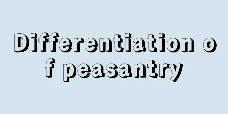 Differentiation of peasantry