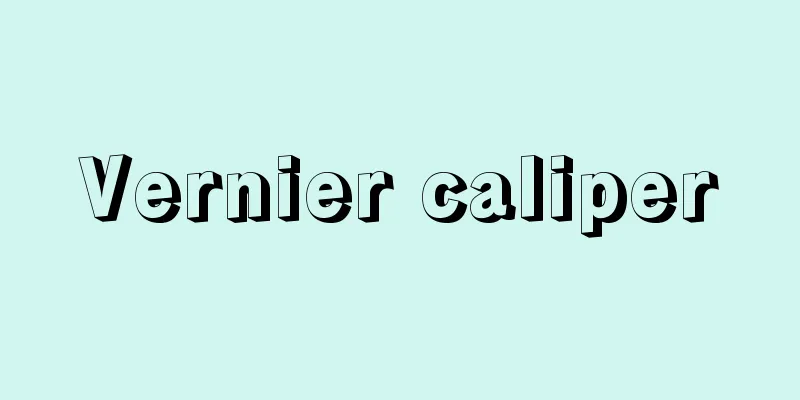 Vernier caliper