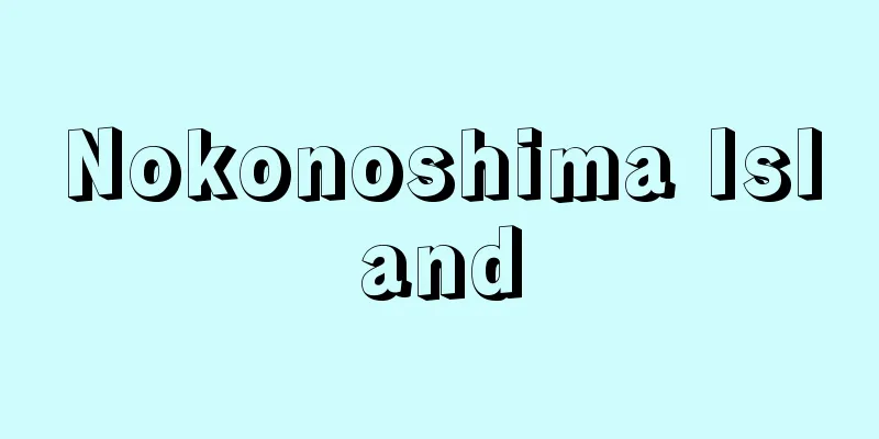 Nokonoshima Island