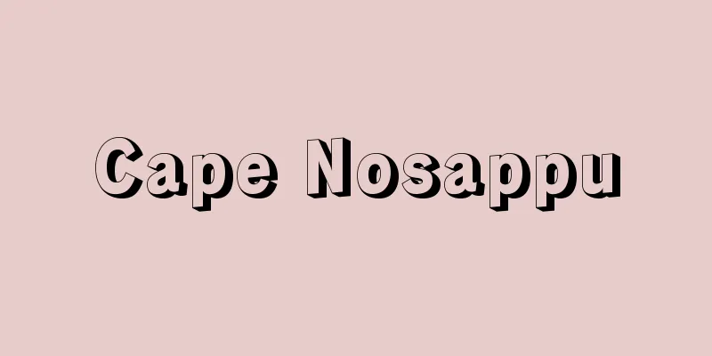 Cape Nosappu