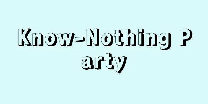 Know-Nothing Party