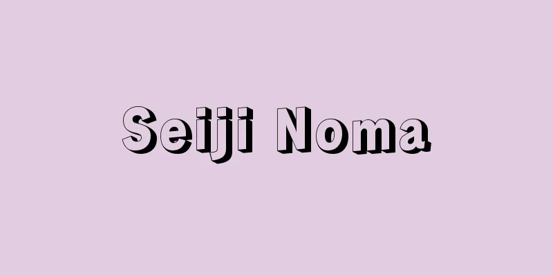 Seiji Noma