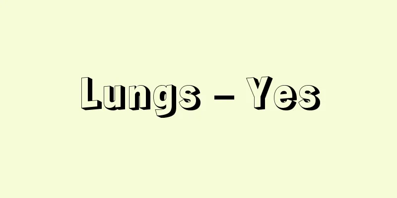 Lungs – Yes
