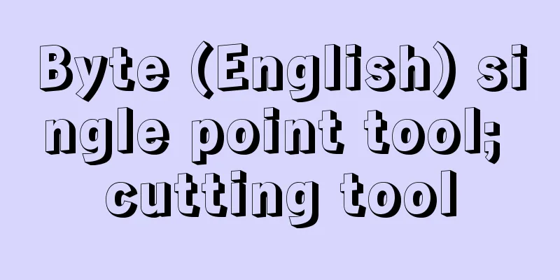 Byte (English) single point tool; cutting tool