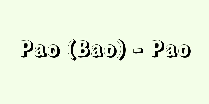 Pao (Bao) - Pao