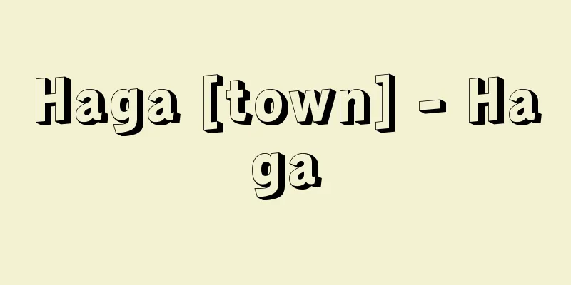 Haga [town] - Haga