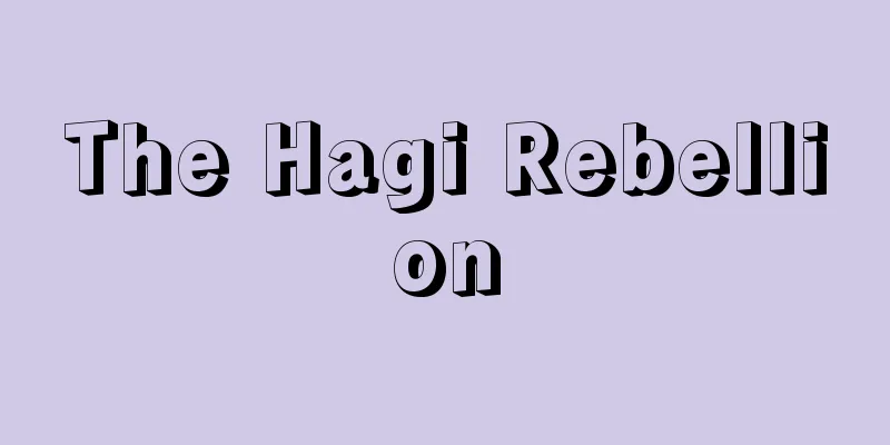 The Hagi Rebellion