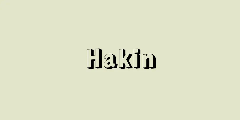Hakin