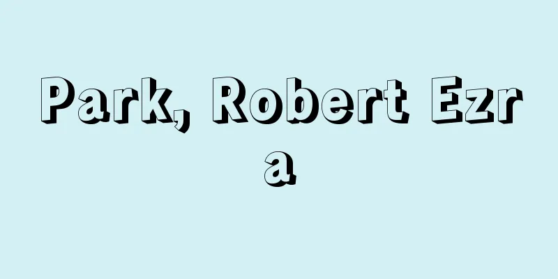 Park, Robert Ezra