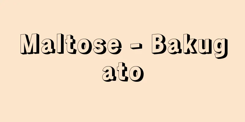 Maltose - Bakugato
