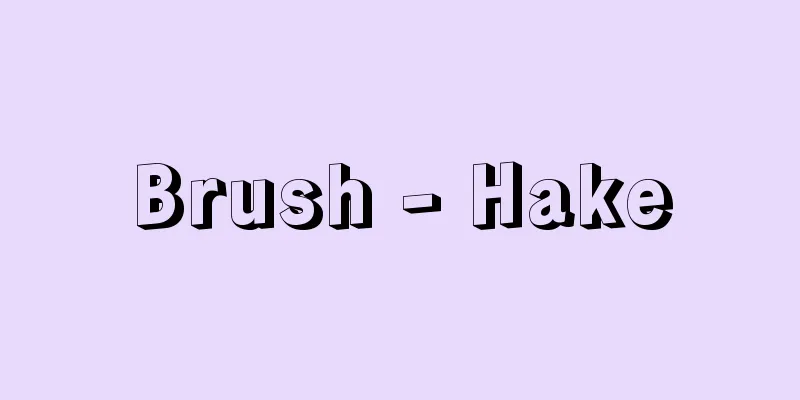 Brush - Hake