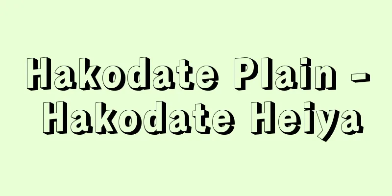 Hakodate Plain - Hakodate Heiya