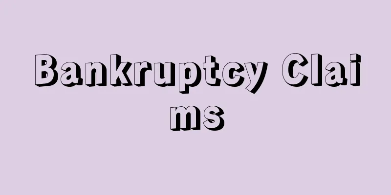 Bankruptcy Claims
