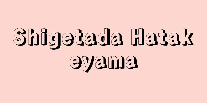 Shigetada Hatakeyama