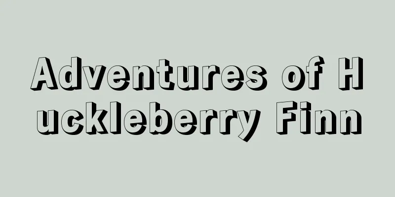 Adventures of Huckleberry Finn
