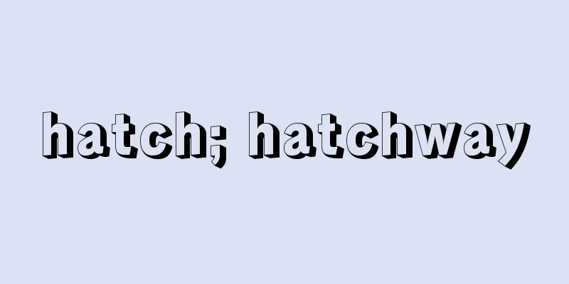 hatch; hatchway