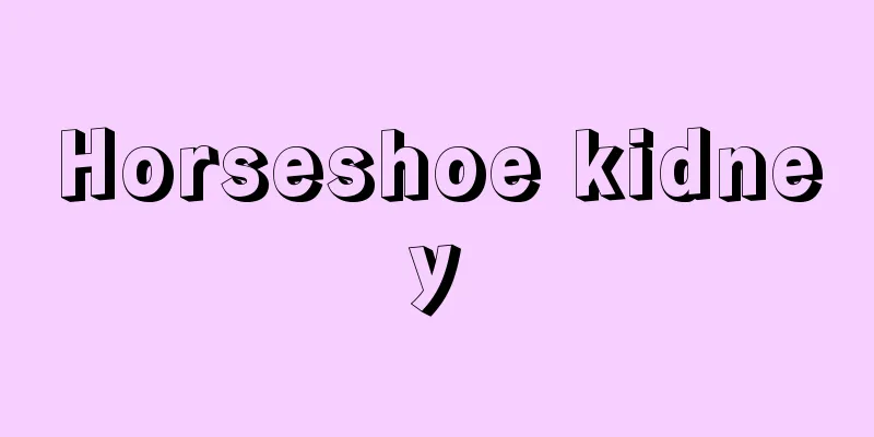 Horseshoe kidney