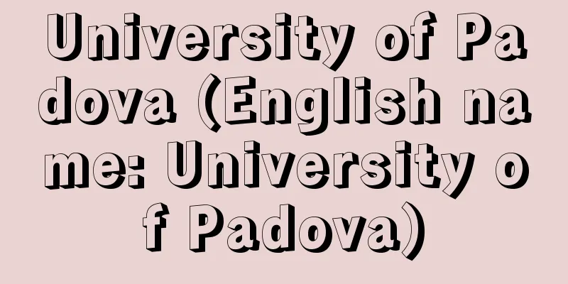 University of Padova (English name: University of Padova)