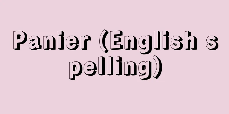Panier (English spelling)