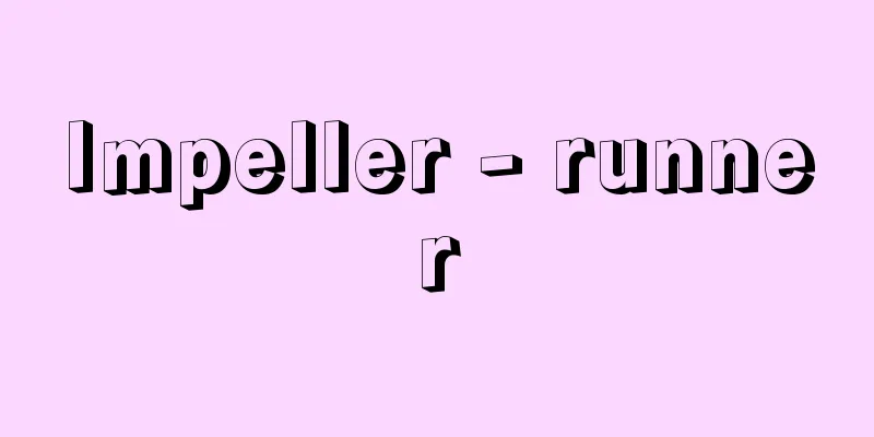Impeller - runner