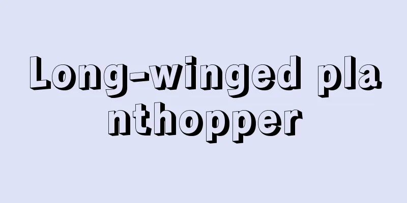 Long-winged planthopper