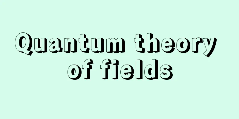 Quantum theory of fields