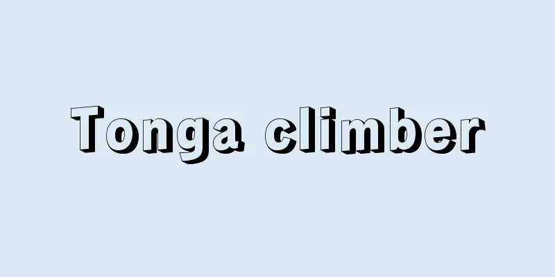 Tonga climber