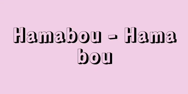 Hamabou - Hamabou