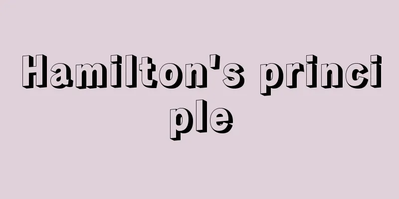 Hamilton's principle